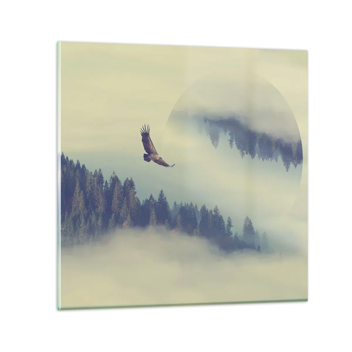 Billede på glas - Jeg så en ørnes skygge - 30x30 cm