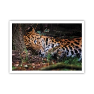 Plakat - Stol på mig - 100x70 cm