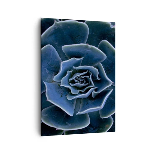 Lærredstryk - Billede på lærred - Ørkenblomst - 50x70 cm