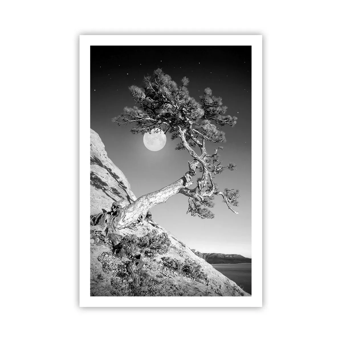 Plakat - Den sejrrige kriger - 61x91 cm