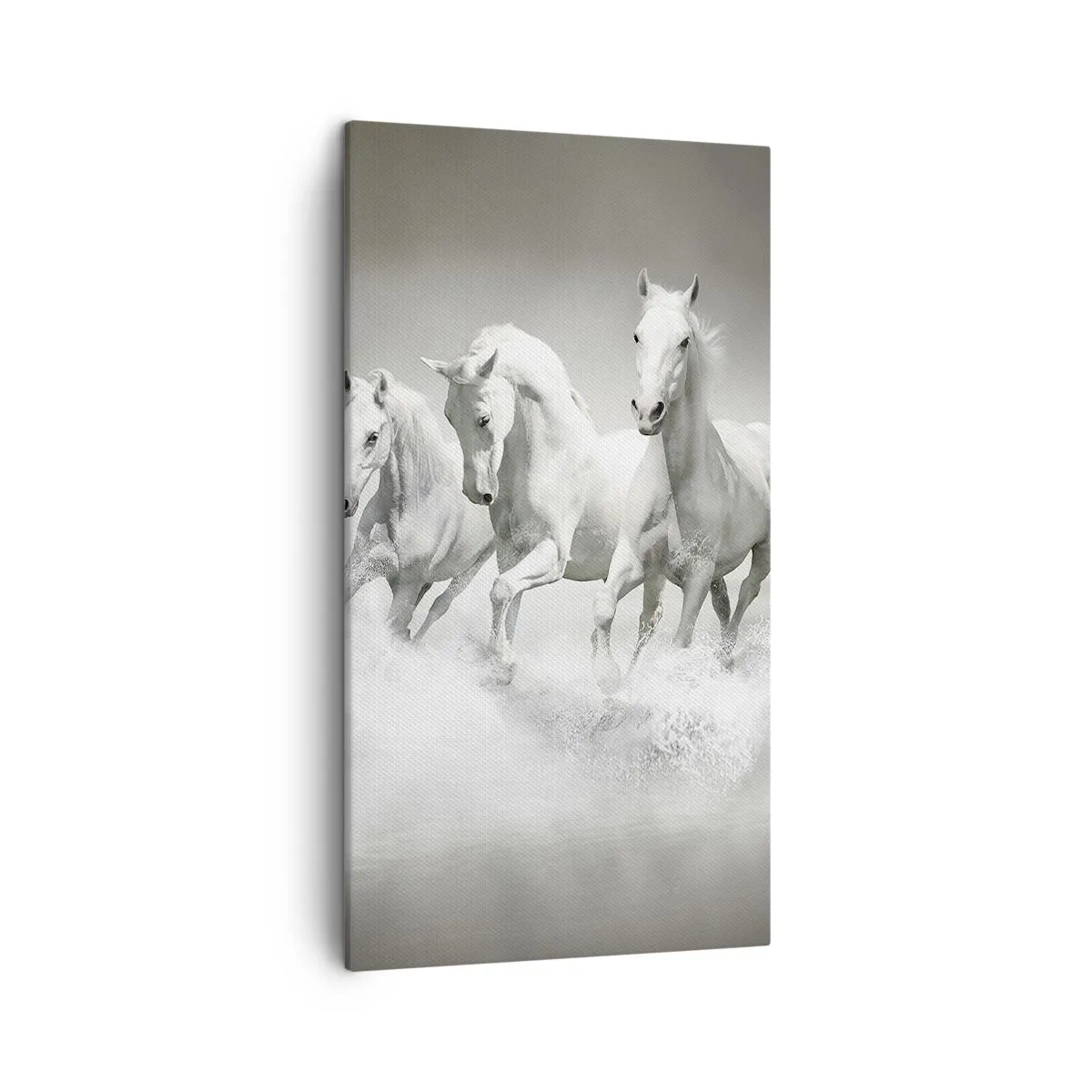 Lærredstryk - Billede på lærred - Hvid galskab - 45x80 cm