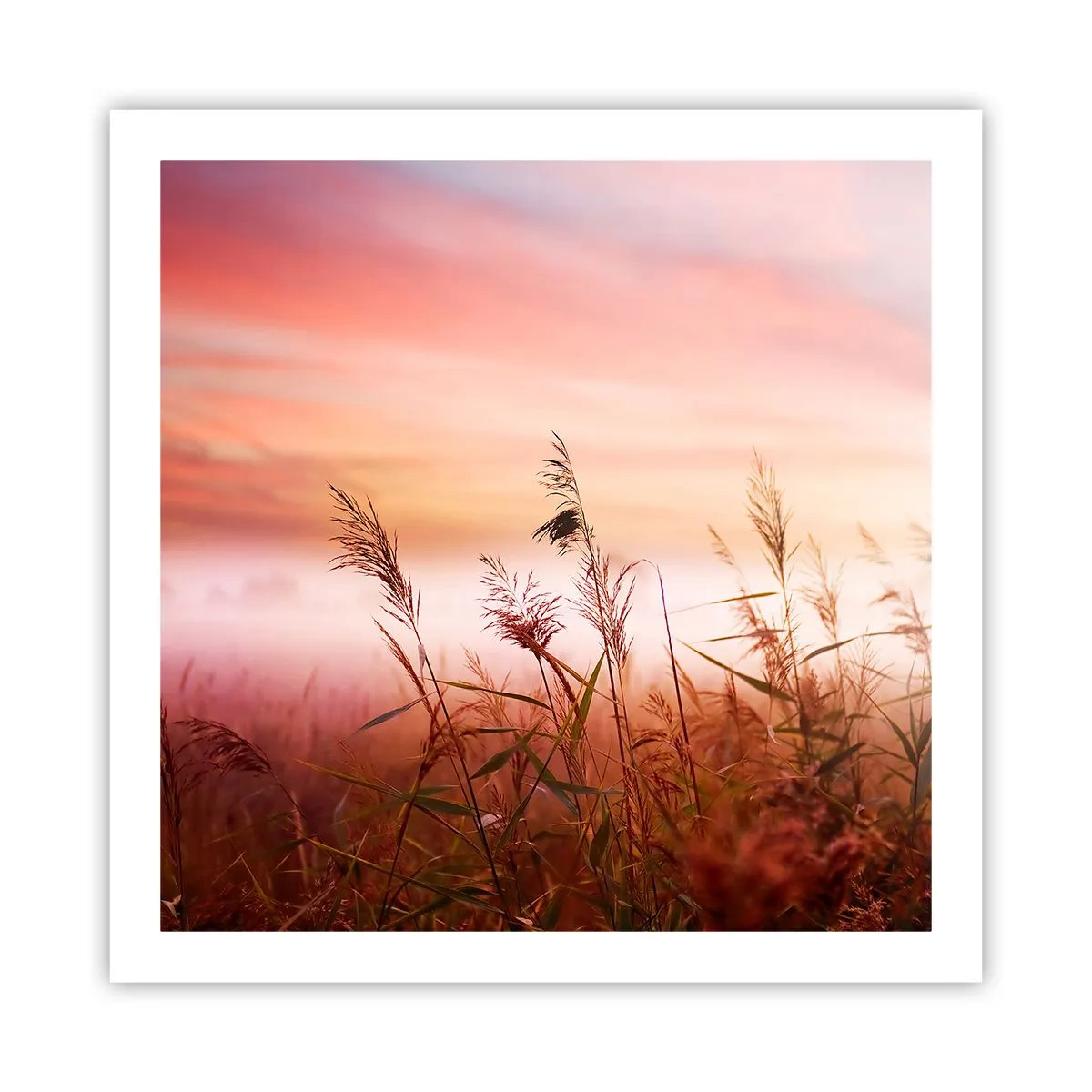 Plakat - Drager, blæsere, vind - 60x60 cm