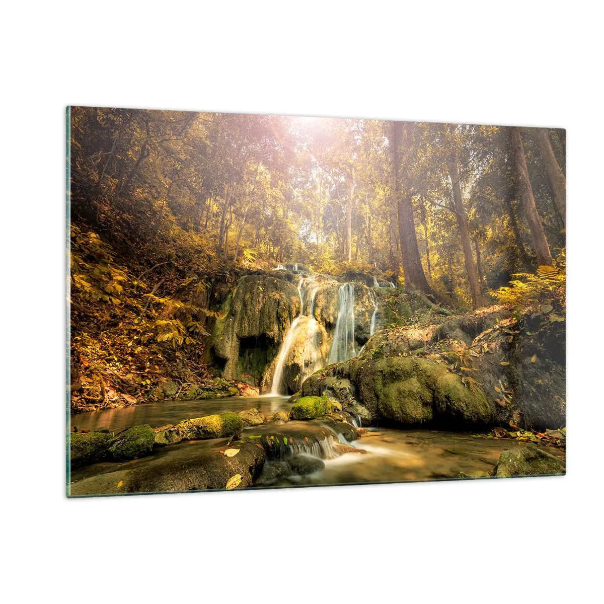 Billede på glas - Skovkaskade i grønt - 120x80 cm