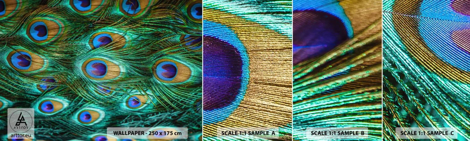 Prøve Fototapet Selvklæbende Deluxe Sticker - En påfugls blik - Abstraktion, Påfuglefjer, Fuglens fjer - 100x30 cm