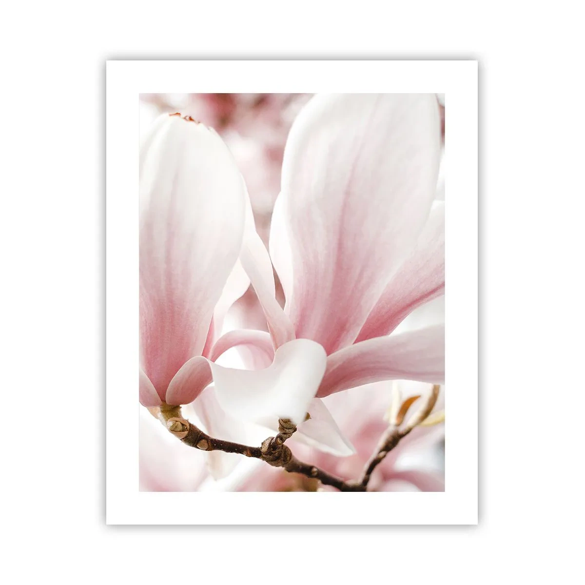 Plakat - Ømhedens umådelighed - 40x50 cm