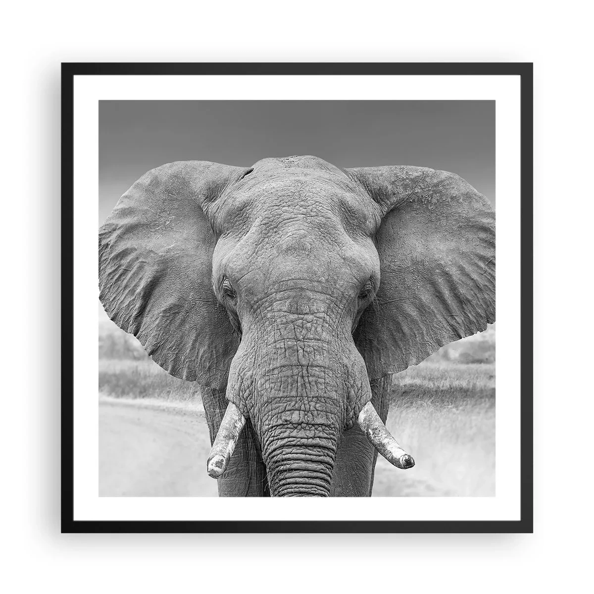 Plakat i sort ramme - Velkommen til min verden - 60x60 cm