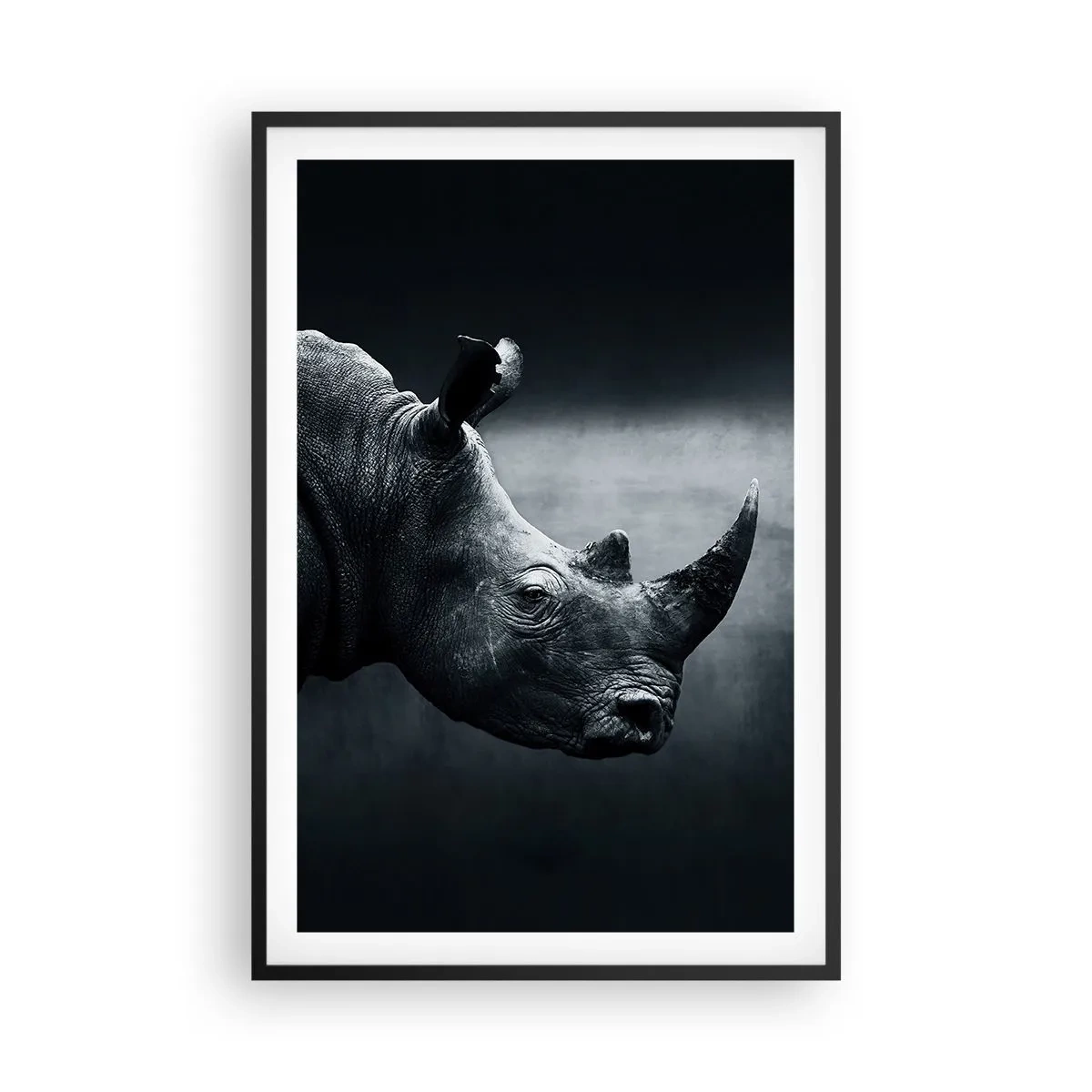 Plakat i sort ramme - Højre profil - 61x91 cm
