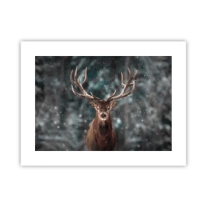 Plakat - Skovens konge kronet - 40x30 cm