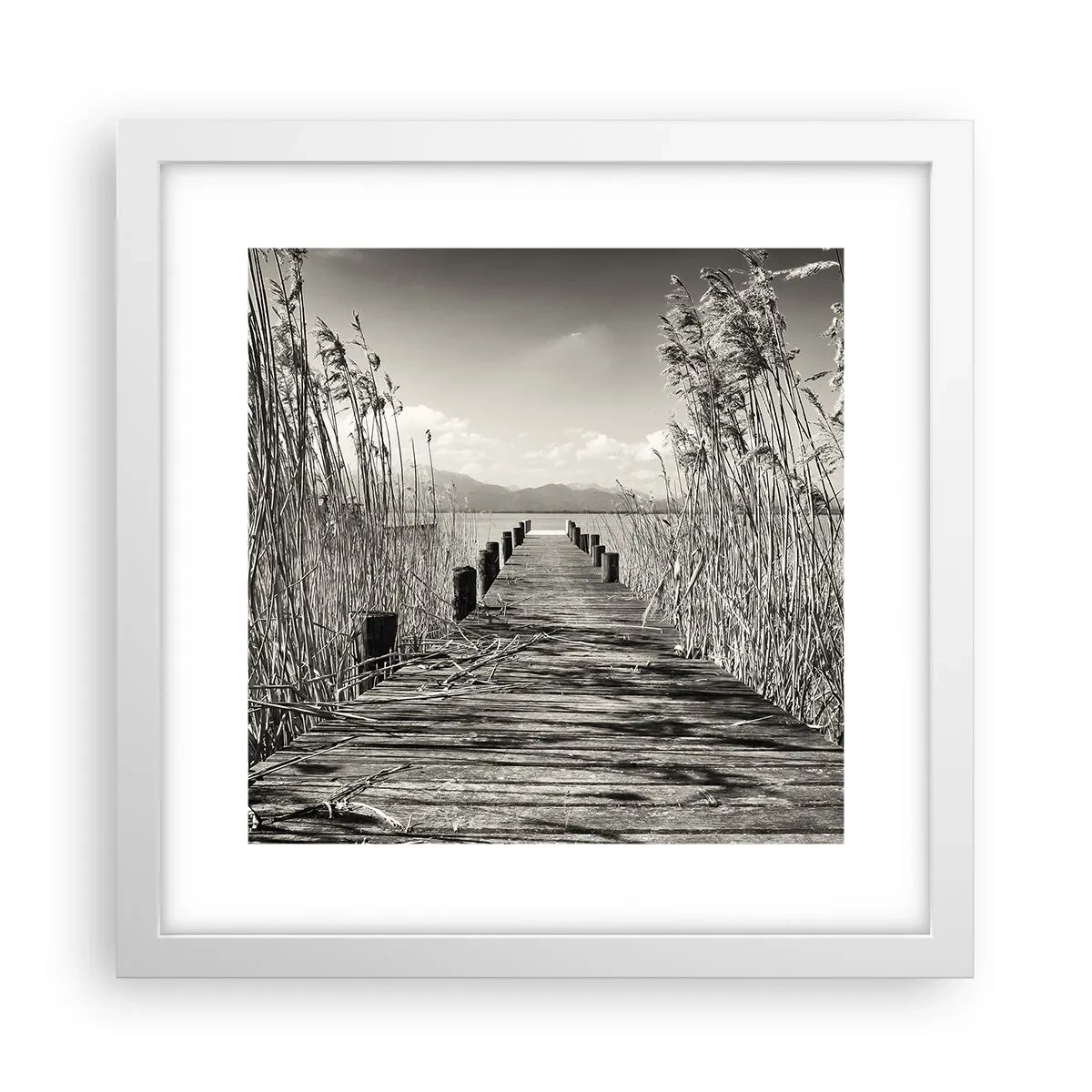 Plakat i hvid ramme - I græssernes fred - 30x30 cm