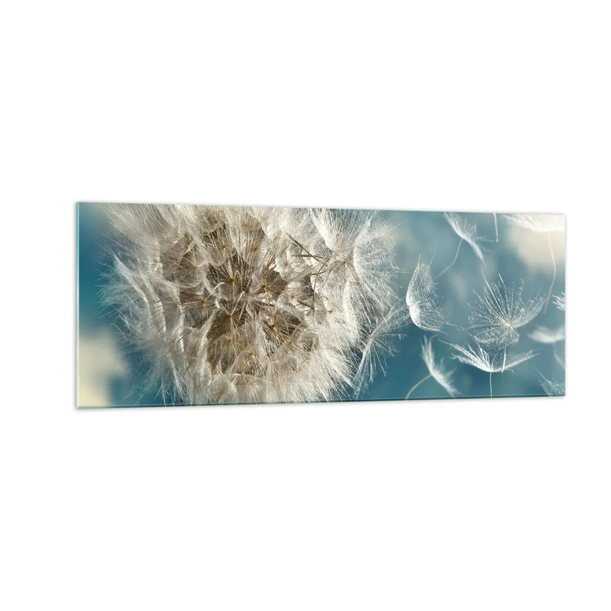 Billede på glas - En engels åndedræt - 140x50 cm