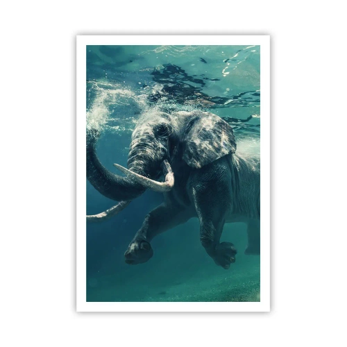 Plakat - Alle kan lide at svømme - 70x100 cm