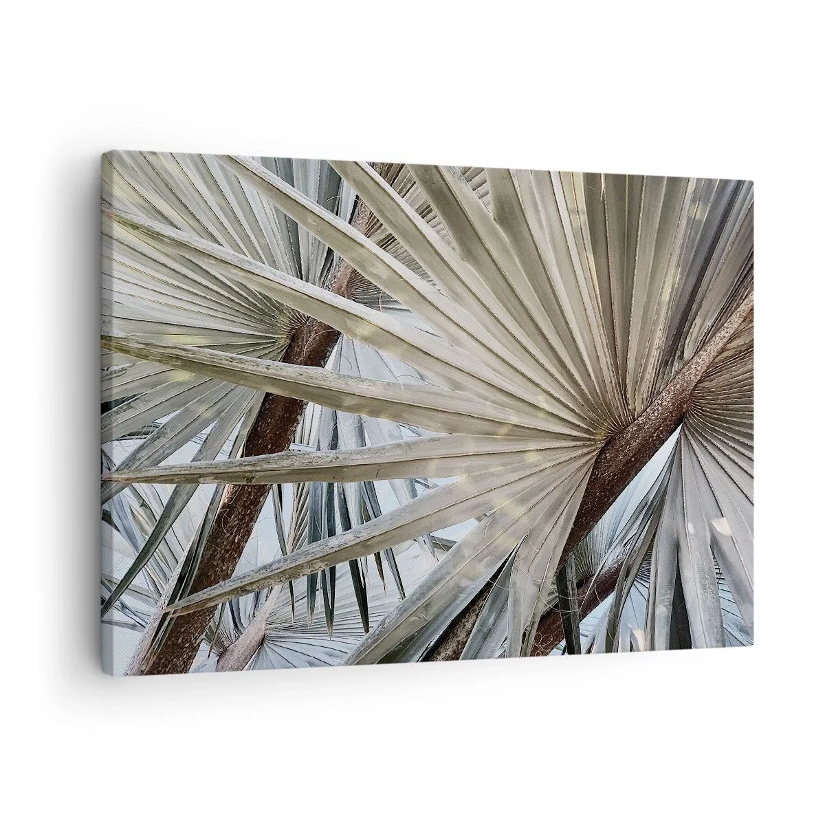 Lærredstryk - Billede på lærred - Nærbillede af palmeblade i naturlige grønne nuancer - 70x50cm - Ventilatorer i troperne - Moderne vægdekoration til stue og soveværelse ARTTOR
