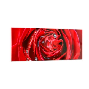 Billede på glas - I dråber af dug - 100x40 cm