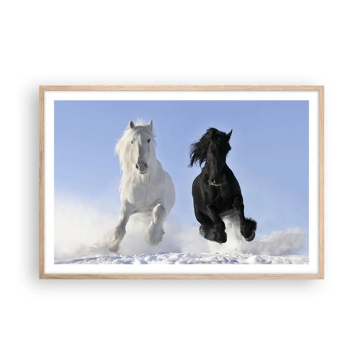 Plakat i ramme af lyst egetræ - Sort og hvid galop - 91x61 cm