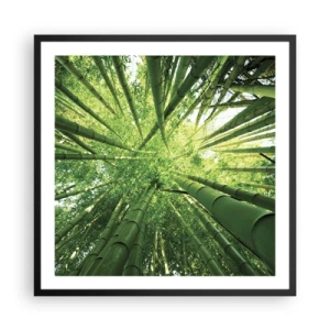 Plakat i sort ramme - I en bambuslund - 60x60 cm