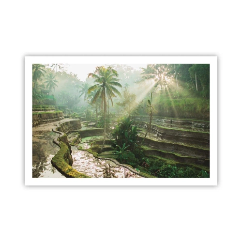 Plakat - Voksende op i solen - 91x61 cm