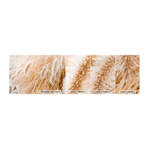Prøve Fototapet Selvklæbende Deluxe Sticker - Gyldent susen af græsser - Pampas græs, Eng, Natur - 100x30 cm
