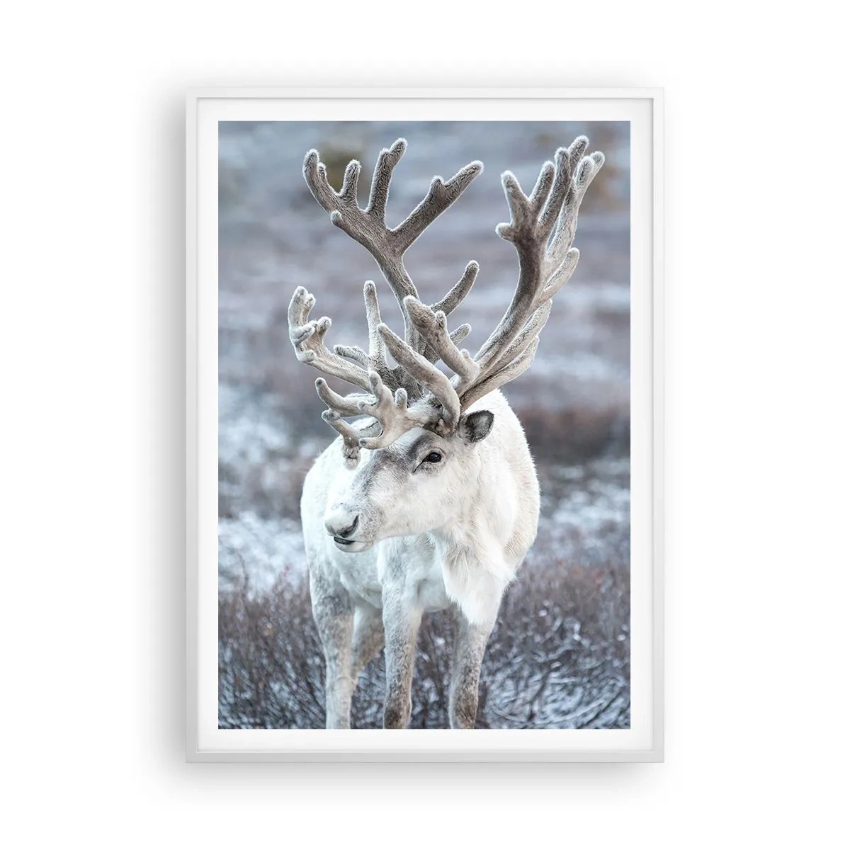 Plakat i hvid ramme - Portræt i solen - 70x100 cm