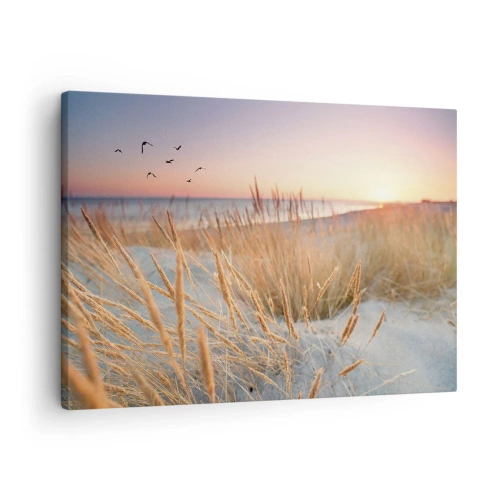 Lærredstryk - Billede på lærred - Solnedgangsstrand med højt græs - 70x50cm - Baltisk vuggevise - Moderne vægdekoration til stue og soveværelse ARTTOR