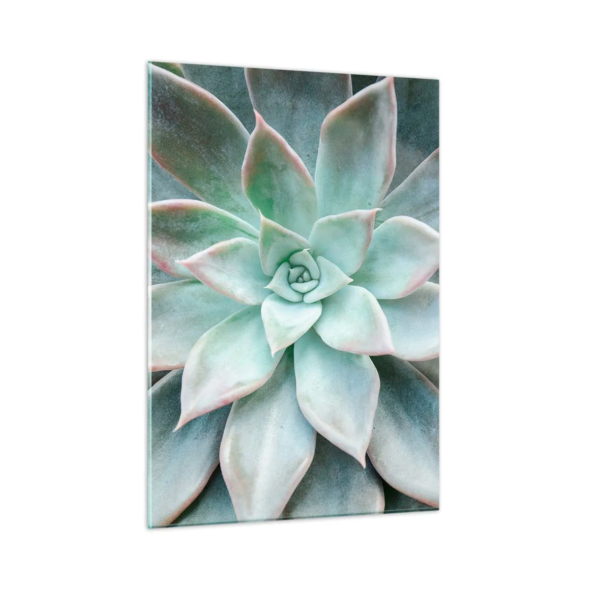 Billede på glas - Hjertet af ørkenen - 50x70 cm
