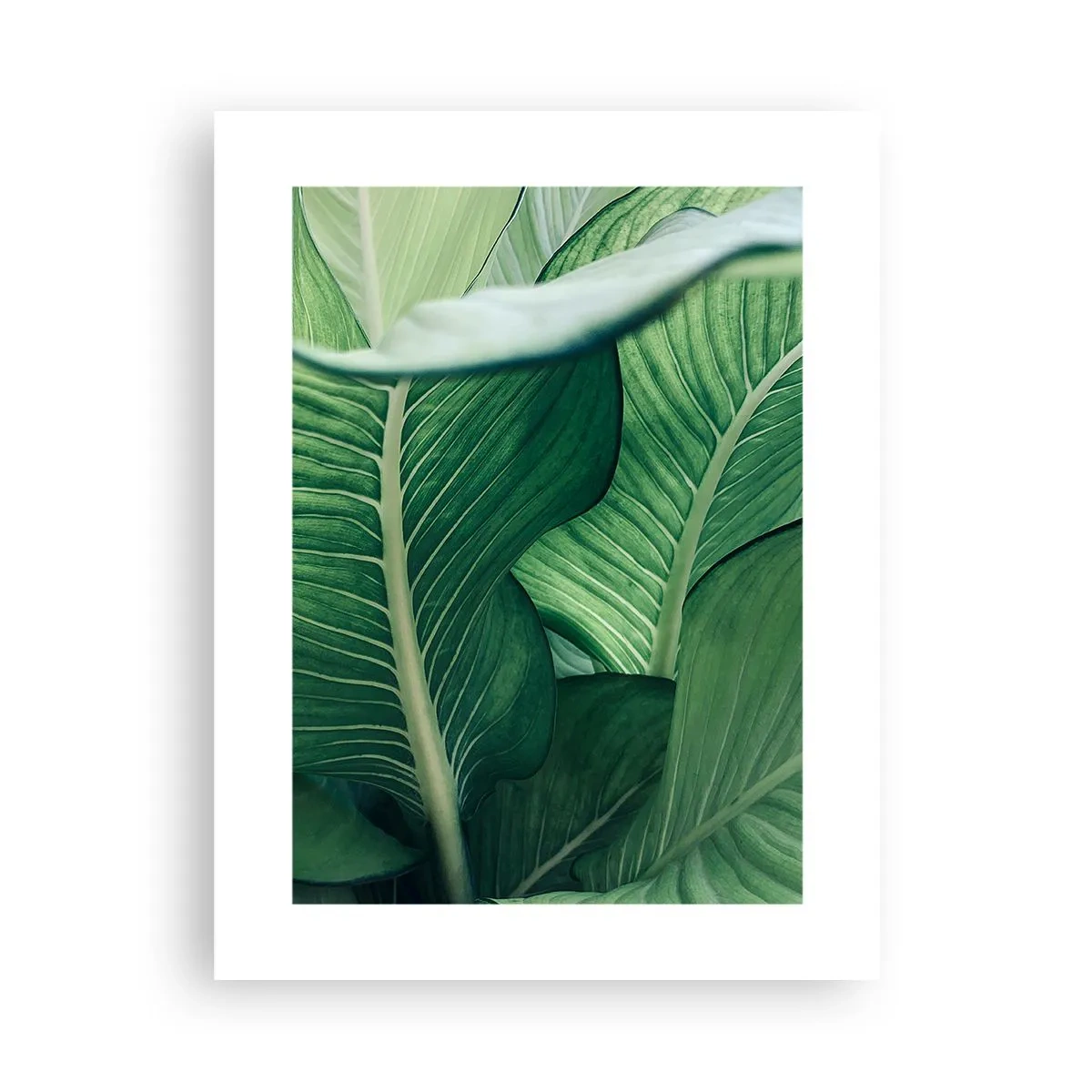 Plakat - Livet er intenst grønt - 30x40 cm