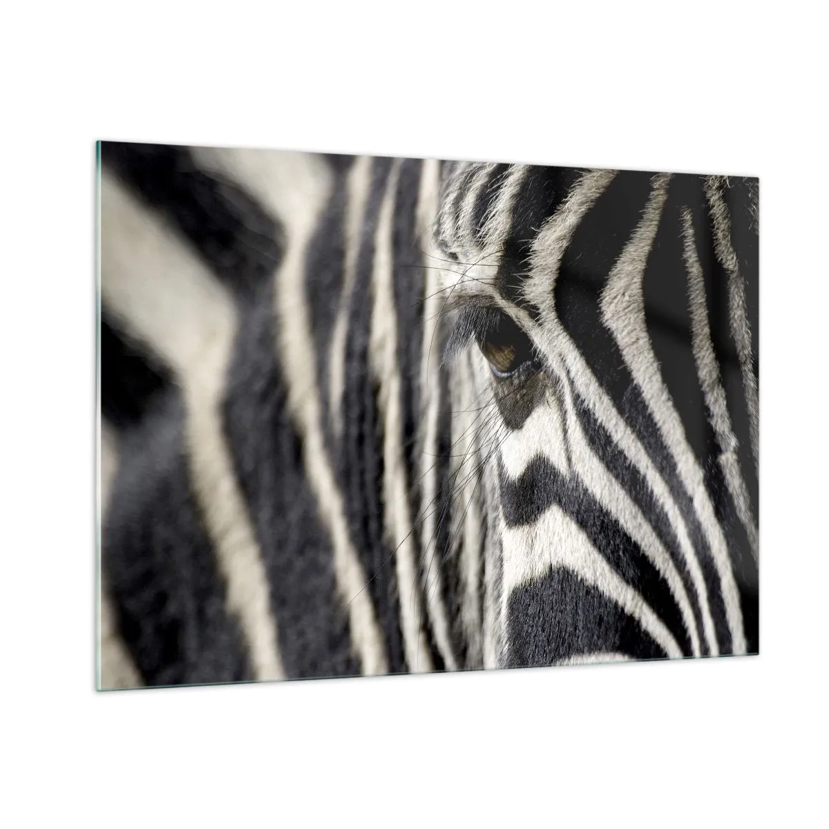 Billede på glas - Stribet portræt - 100x70 cm