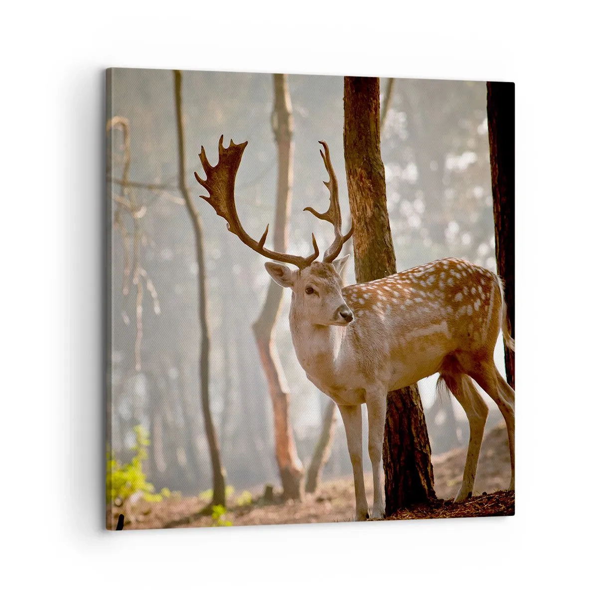 Lærredstryk - Billede på lærred - Ungdommens lys - 60x60 cm
