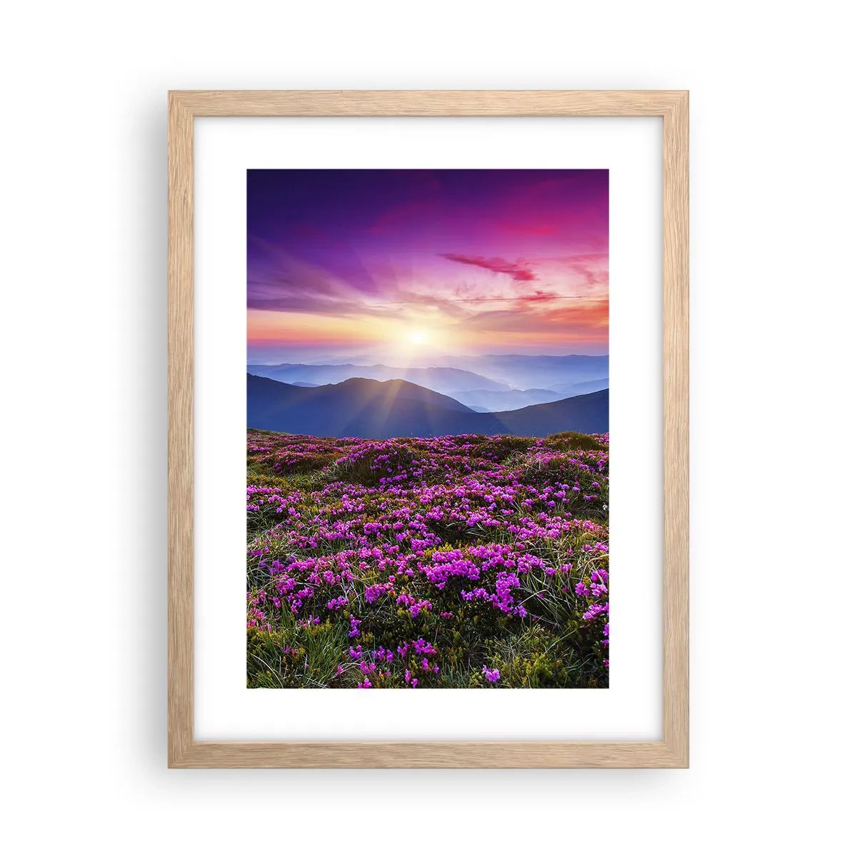 Plakat i ramme af lyst egetræ - Urter duftede friske bundter fra niw - 30x40 cm