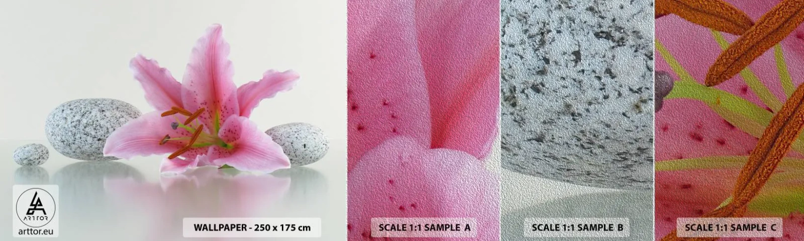 Prøve Fototapet Premium Sand - Et studie i rosa, grå og hvid - Blomster, Lily, Sten - 100x30 cm