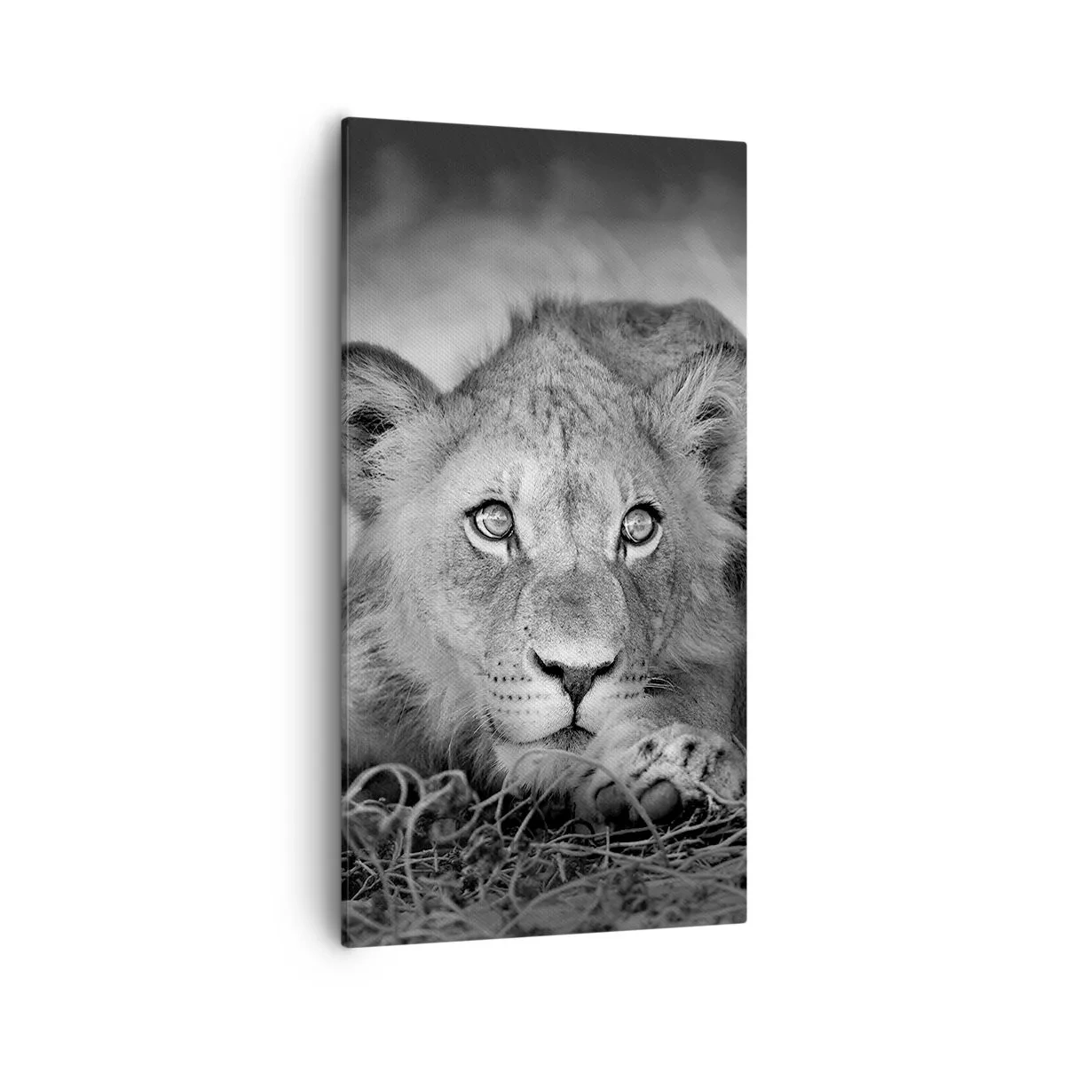 Lærredstryk - Billede på lærred - Kongelig hvalp - 55x100 cm