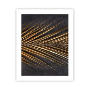 Plakat - Tropernes guld - 40x50 cm