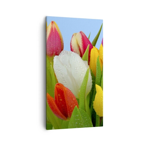 Lærredstryk - Billede på lærred - En blomstret regnbue i dugdråber - 45x80 cm