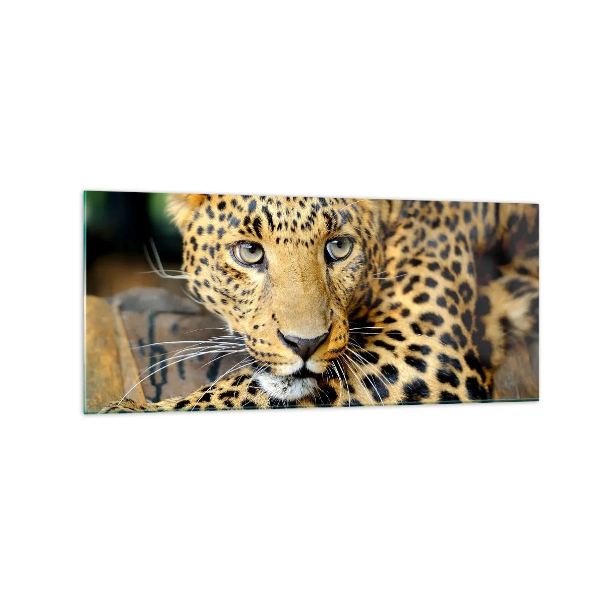 Billede på glas - Vær ikke bange, kom nu - 120x50 cm