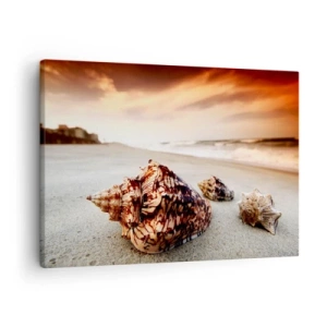 Lærredstryk - Billede på lærred - Muslingeskaller på stranden ved solnedgang - 70x50cm - Bølgebevægelser - Moderne vægdekoration til stue og soveværelse ARTTOR
