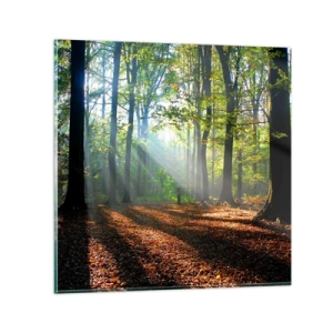 Billede på glas - Lys og skygger - 70x70 cm