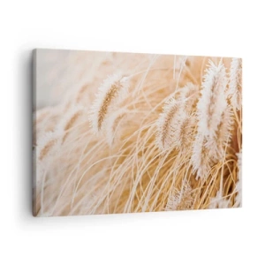 Lærredstryk - Billede på lærred - Nærbillede af gyldne, fine græsser i sollyset - 70x50cm - Gyldent susen af græsser - Moderne vægdekoration til stue og soveværelse ARTTOR