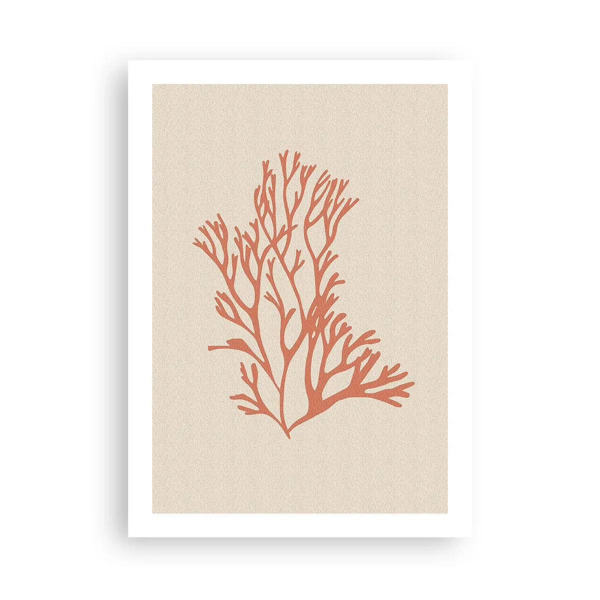 Plakat - Koral filigran - 50x70 cm