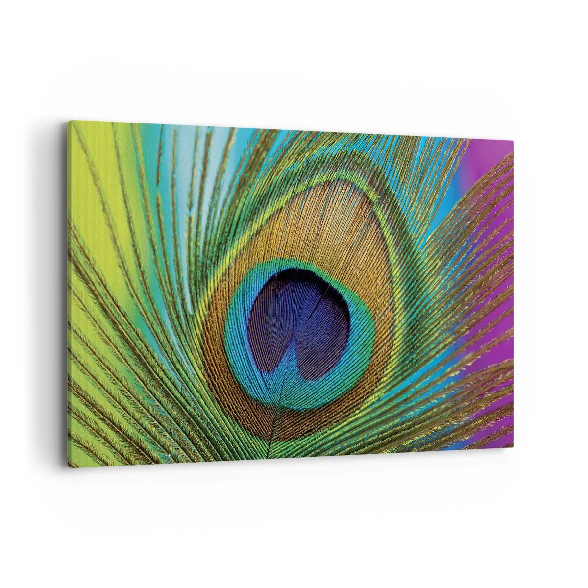 Lærredstryk - Billede på lærred - Øje mod øje - 100x70 cm