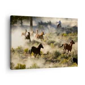 Lærredstryk - Billede på lærred - En flok vilde heste galoperer gennem støvet og vegetationen - 70x50cm - Rivalisering - frihed eller maskulin kraft? - Moderne vægdekoration til stue og soveværelse ARTTOR