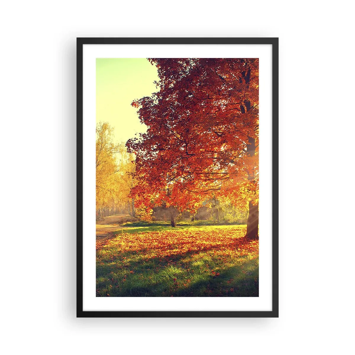 Plakat i sort ramme - Efterårspark med et træ med gyldne blade i solen - 50x70cm - Rød er smuk - Moderne vægdekoration til stue og soveværelse ARTTOR