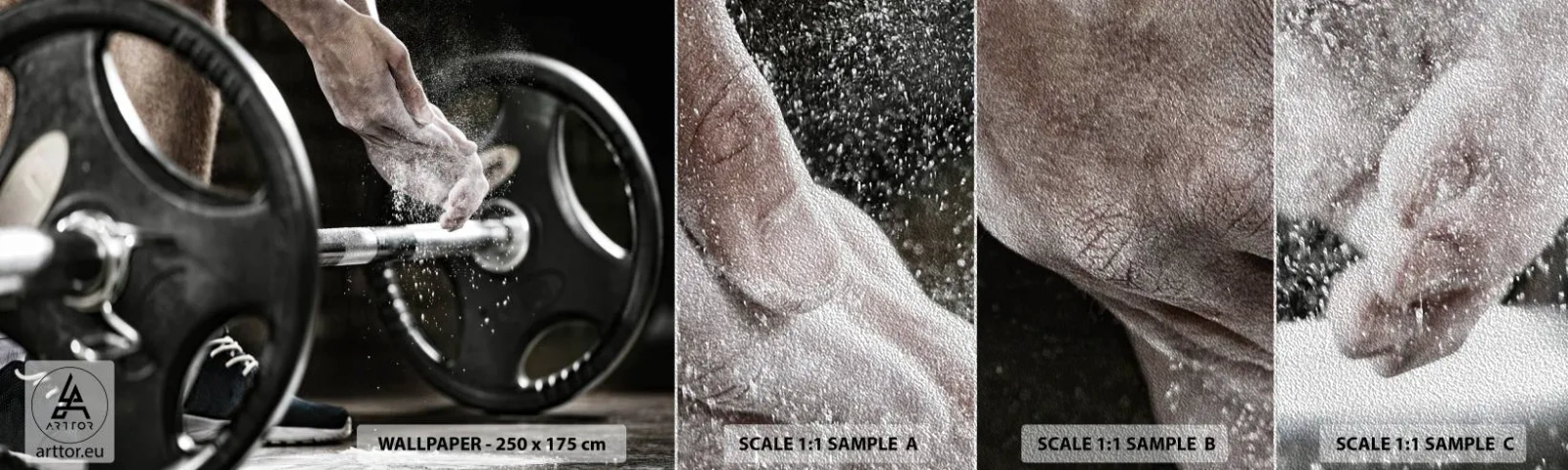 Prøve Fototapet Premium Sand - Udfordringen er taget imod! - Sport, Gym, Vægtløftning - 100x30 cm