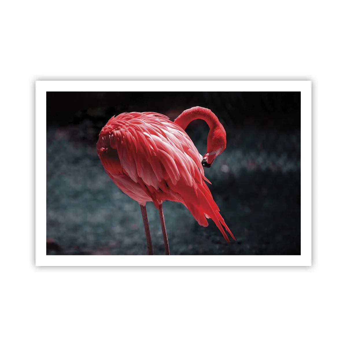 Plakat - Et karmosinrødt naturdigt - 91x61 cm