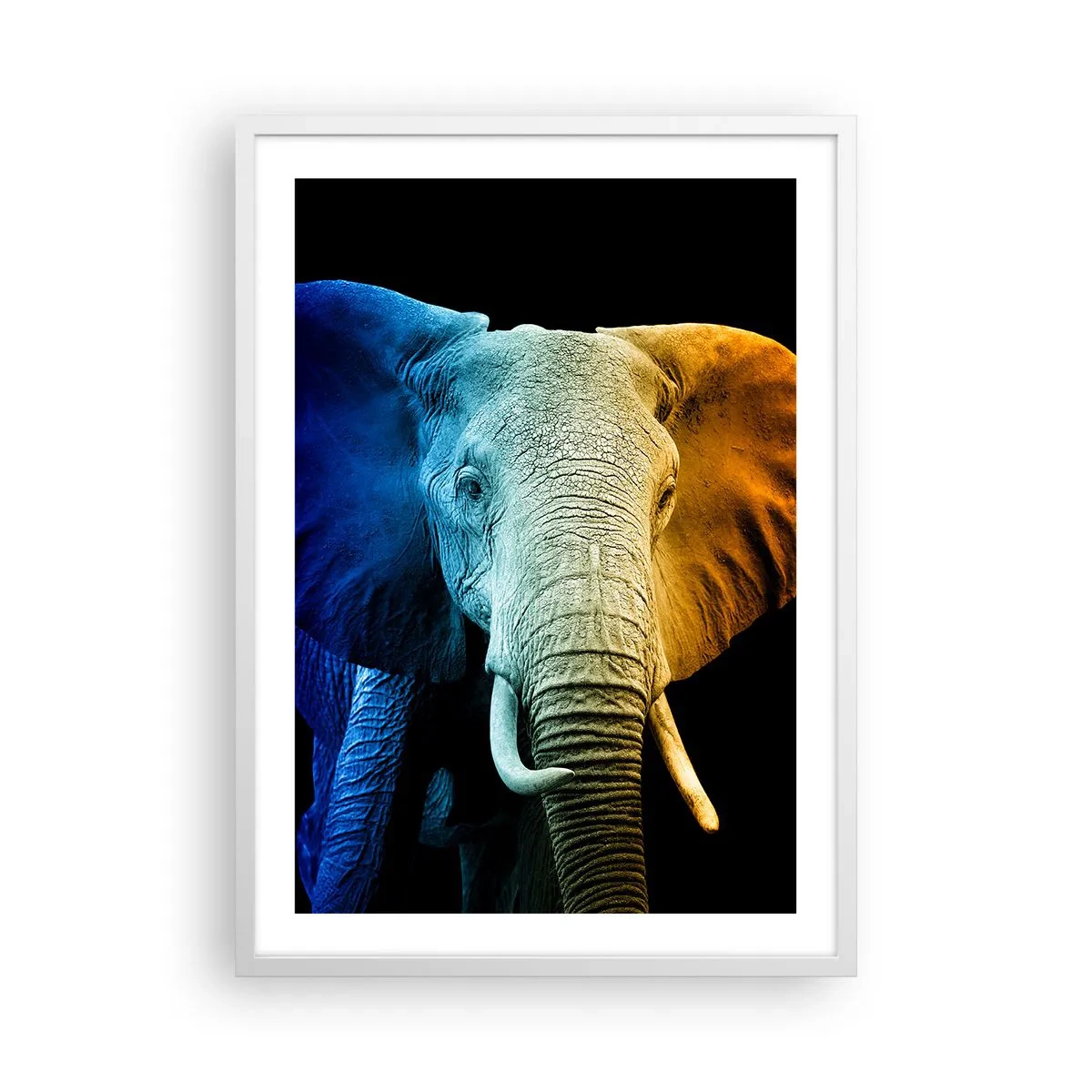 Plakat i hvid ramme - Excentrisk, ikke underlig - 50x70 cm