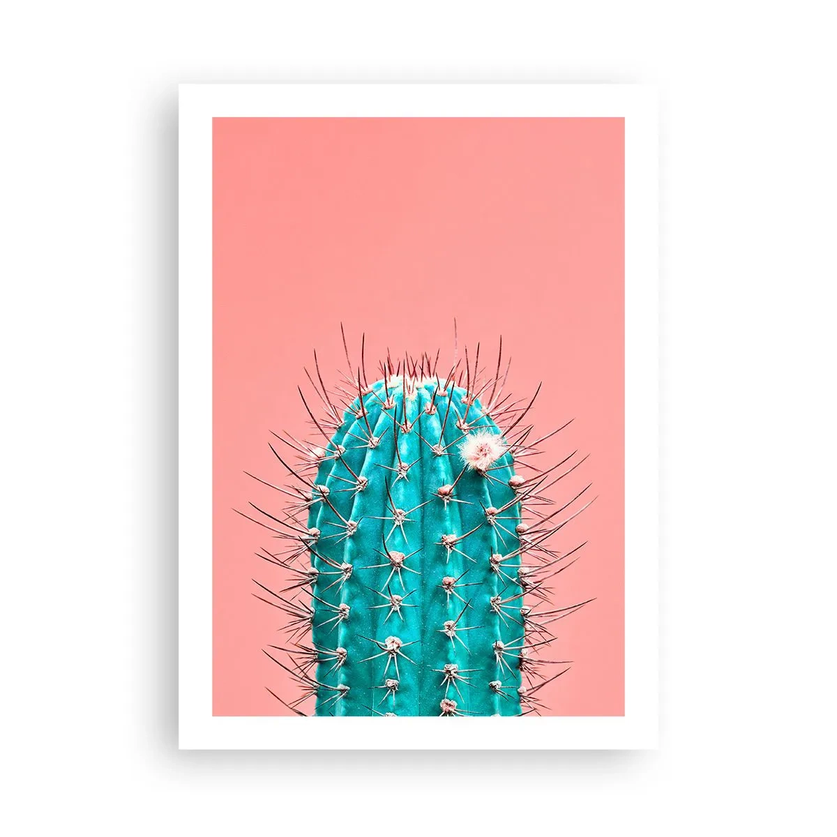 Plakat - Bare se - 50x70 cm