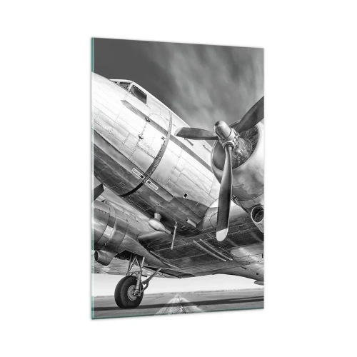Billede på glas - Altid klar til at flyve - 80x120 cm