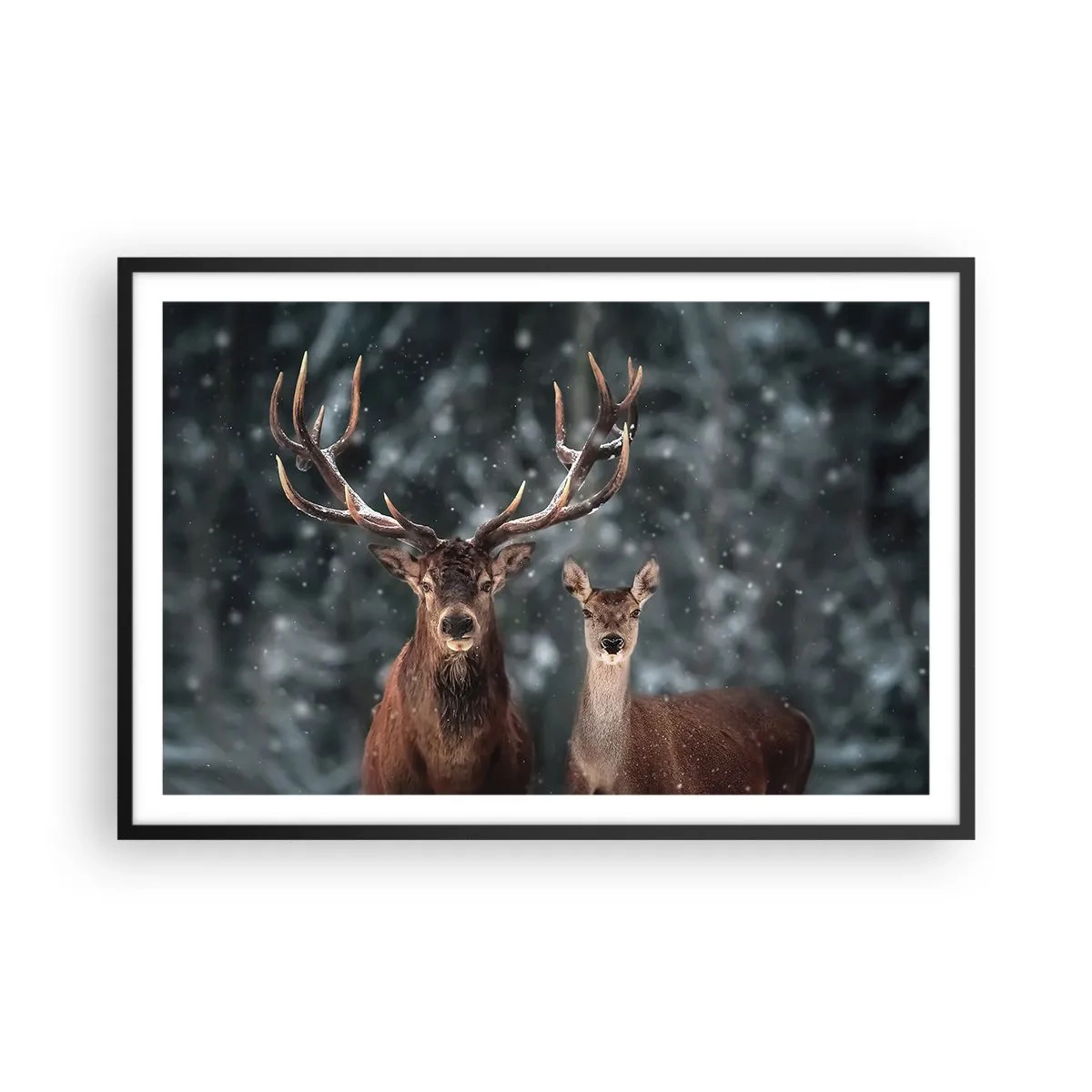 Plakat i sort ramme - Skovens herre og hans kone - 91x61 cm