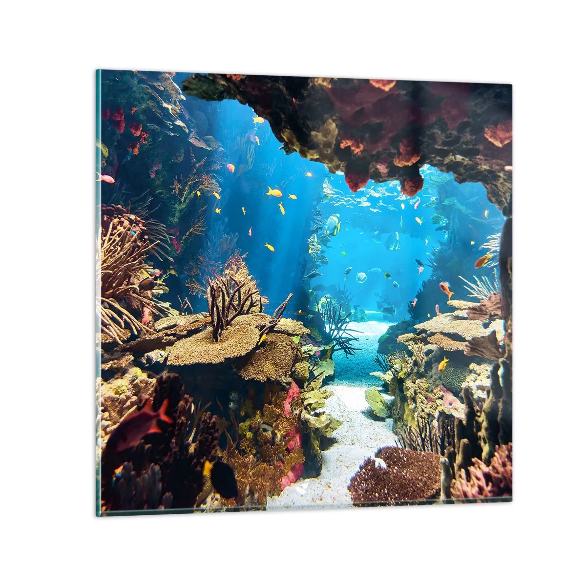 Billede på glas - Du har ikke engang drømt - 40x40 cm