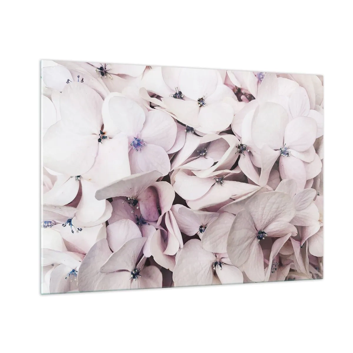 Billede på glas - I en flod af blomster - 100x70 cm