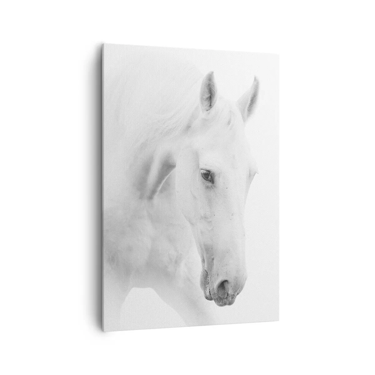 Lærredstryk - Billede på lærred - Er dette venskab...? - 70x100 cm