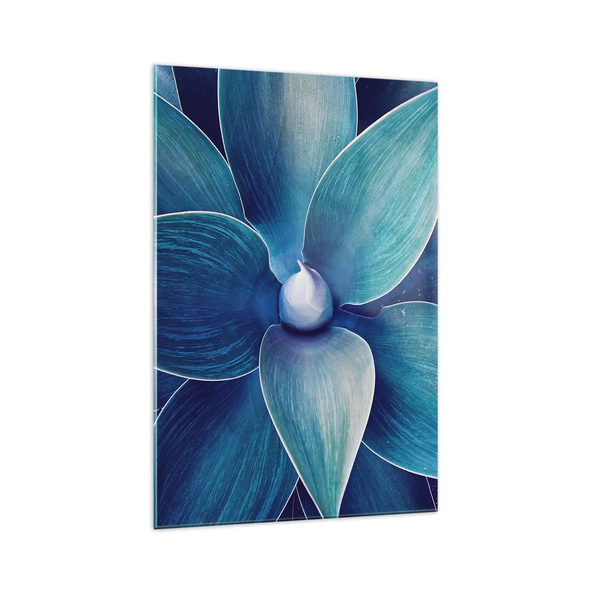 Billede på glas - Blå fra himlen - 70x100 cm